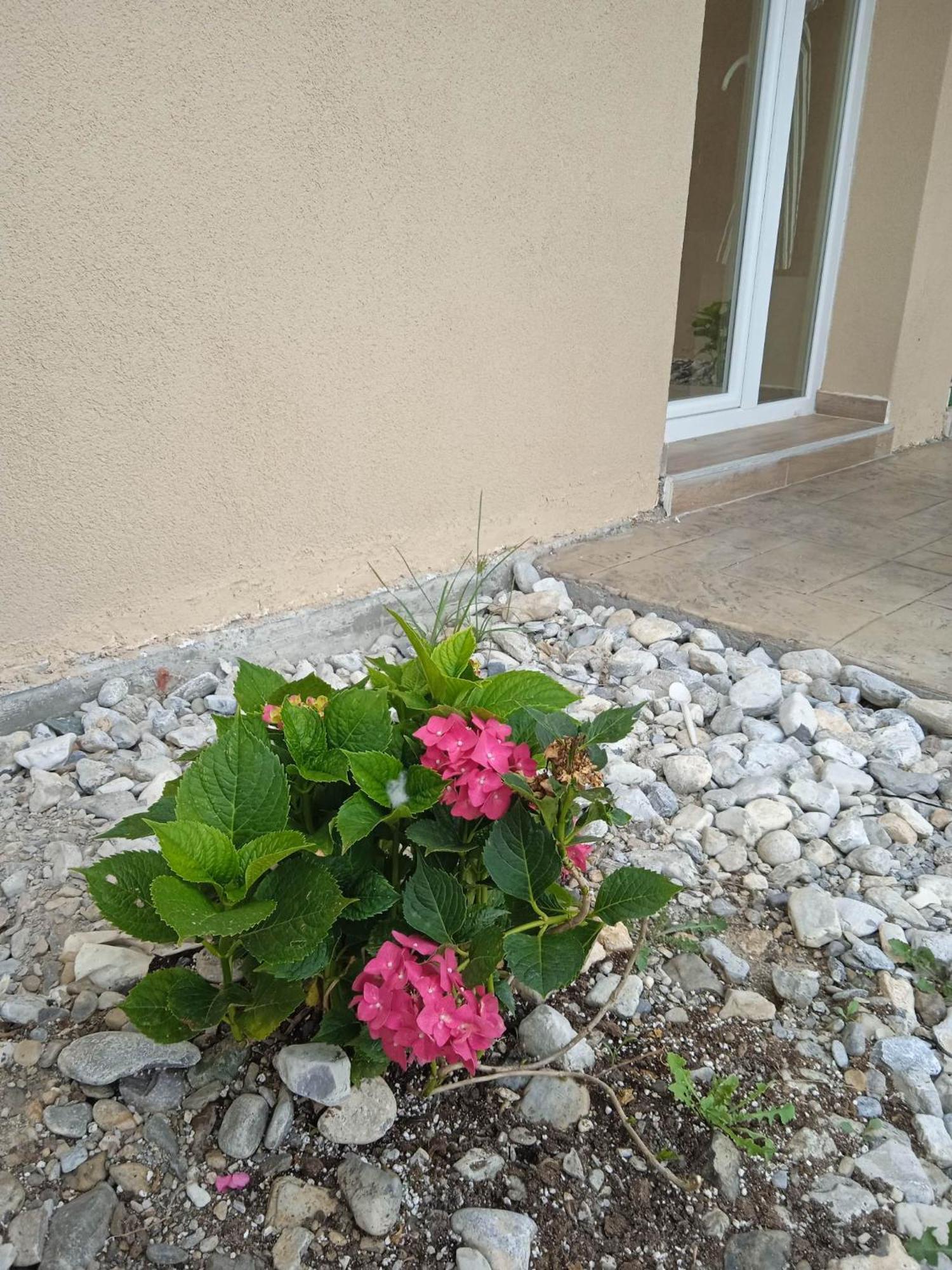 Sylias Village Skala Korinou Esterno foto